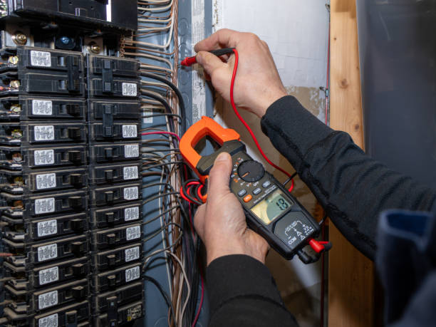 Best Industrial Electrical Services  in Truman, MN
